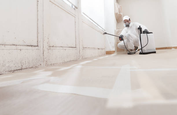 24/7 Emergency Crawl Space Mold Removal experts in Belle Haven, VA